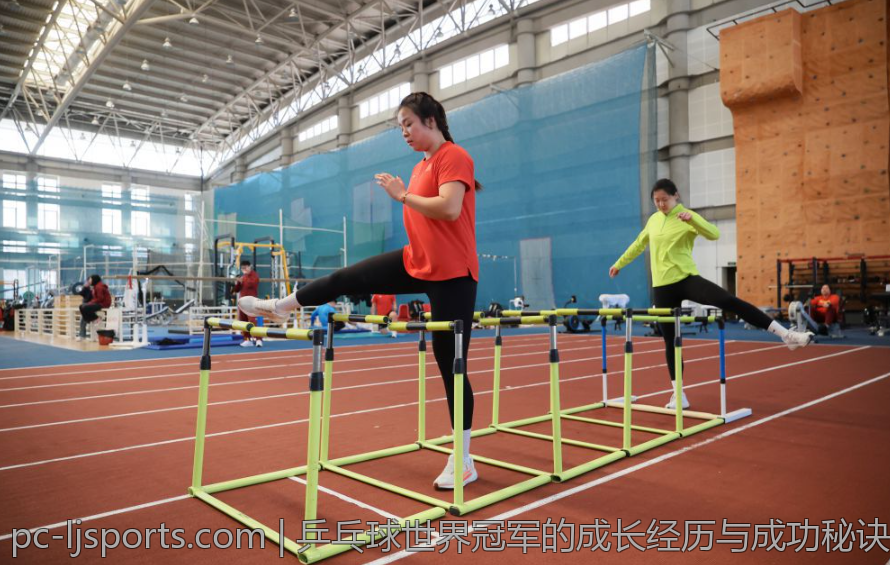 乒乓球世界冠军的成长经历与成功秘诀