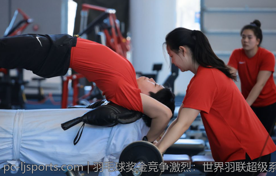 意甲联赛的赛场安全与观众管理措施