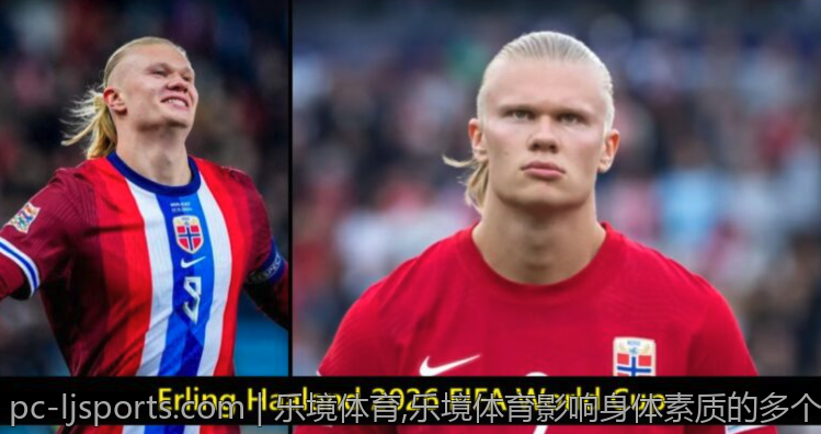 乐境体育,乐境体育影响身体素质的多个方面